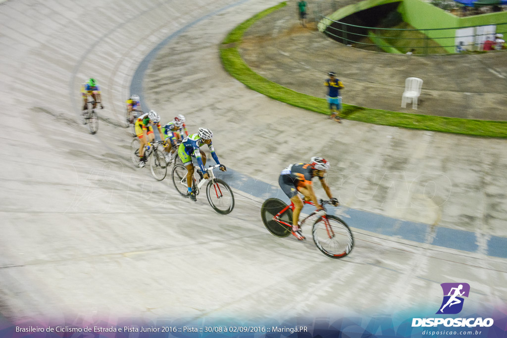 Pista :: Brasileiro de Ciclismo de Estrada e Pista 2016