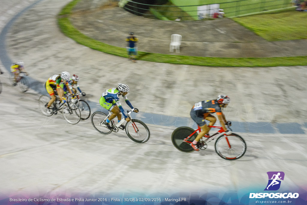 Pista :: Brasileiro de Ciclismo de Estrada e Pista 2016