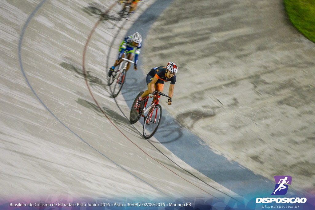 Pista :: Brasileiro de Ciclismo de Estrada e Pista 2016