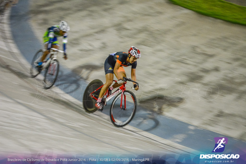 Pista :: Brasileiro de Ciclismo de Estrada e Pista 2016