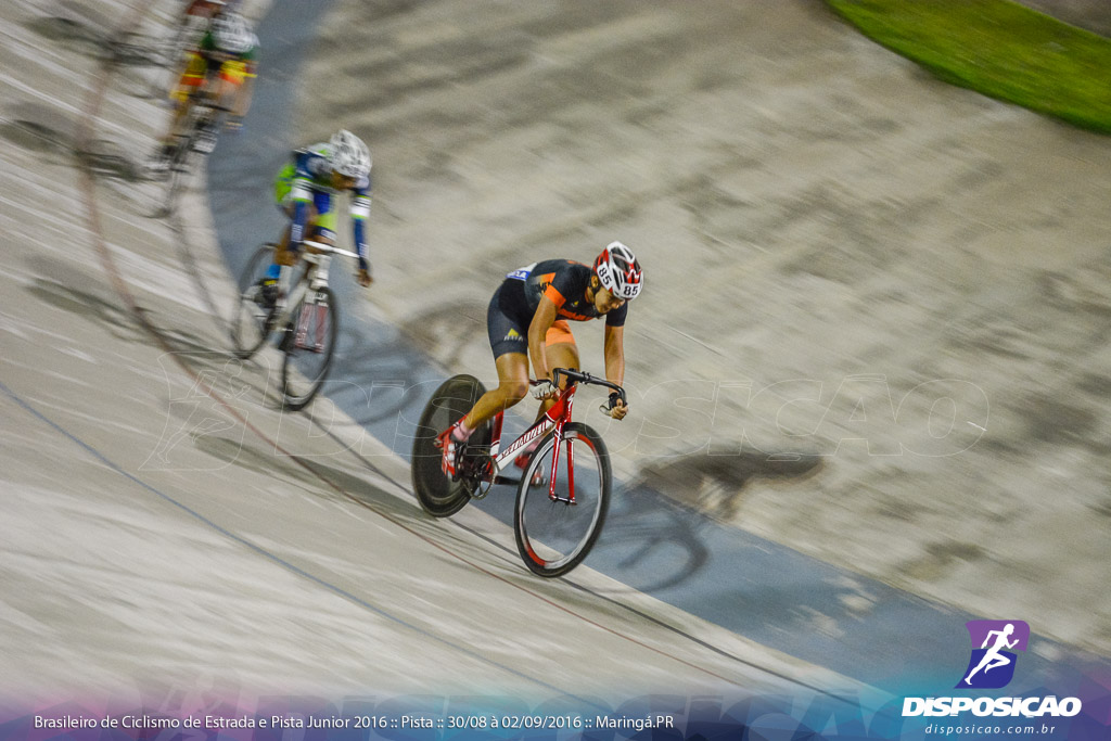 Pista :: Brasileiro de Ciclismo de Estrada e Pista 2016