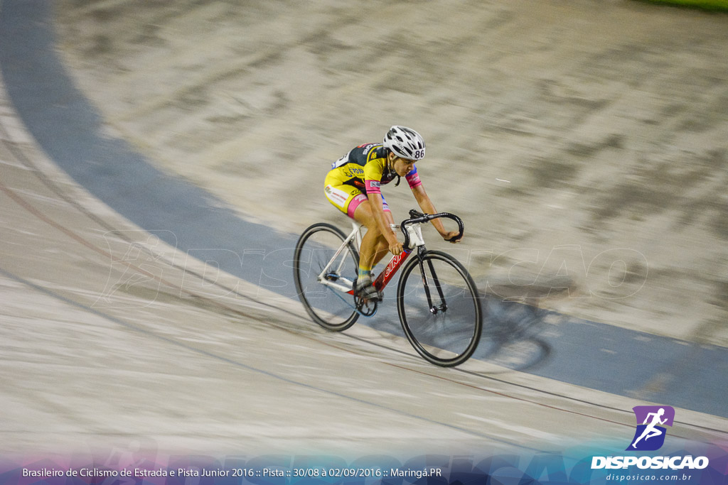 Pista :: Brasileiro de Ciclismo de Estrada e Pista 2016