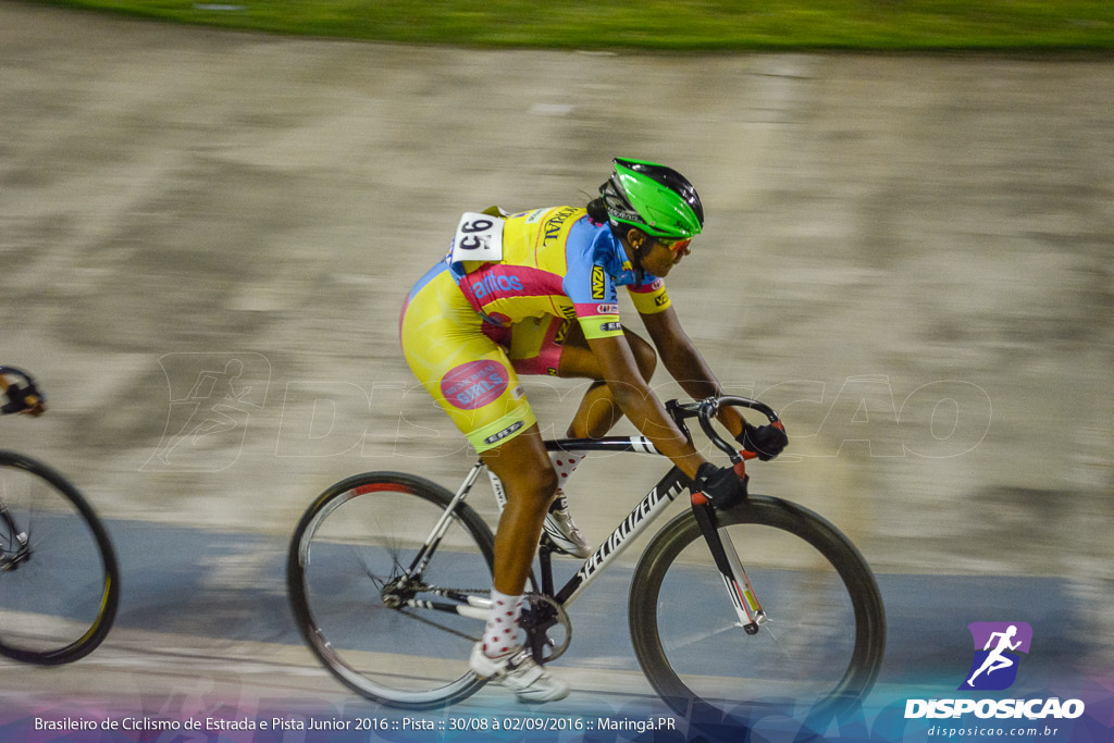 Pista :: Brasileiro de Ciclismo de Estrada e Pista 2016