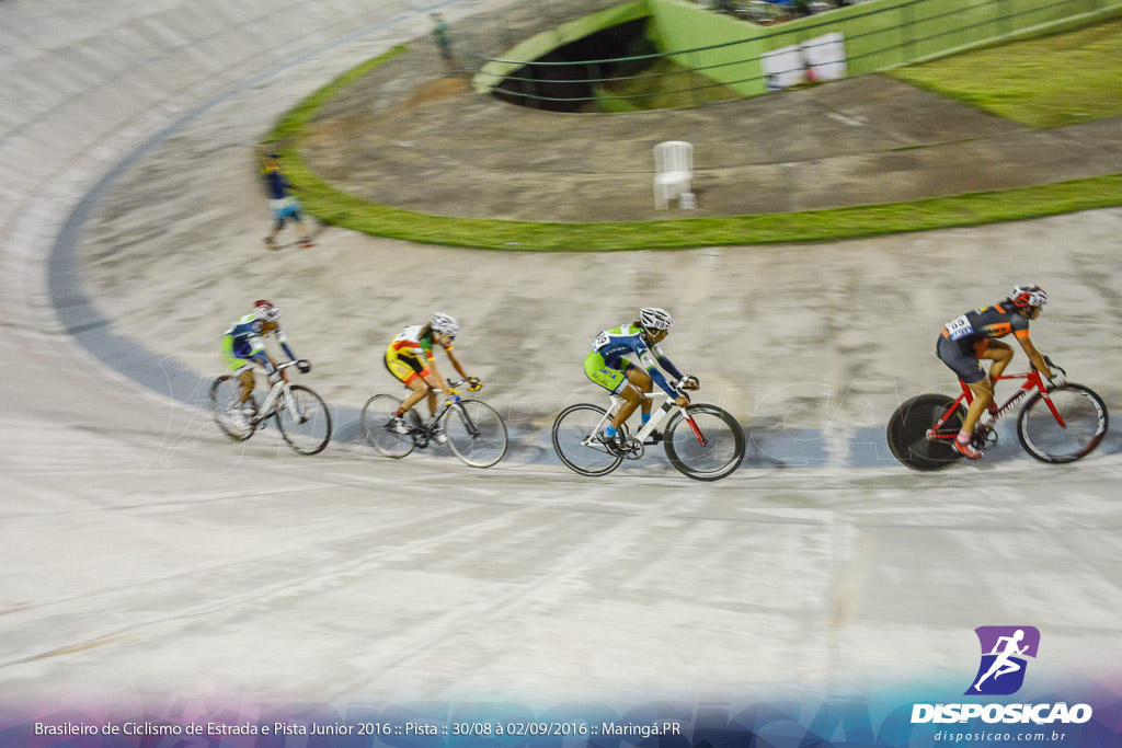 Pista :: Brasileiro de Ciclismo de Estrada e Pista 2016