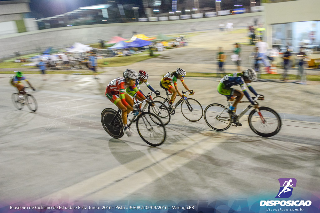 Pista :: Brasileiro de Ciclismo de Estrada e Pista 2016