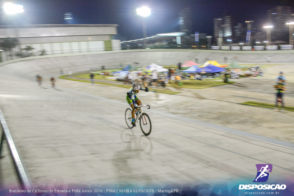 Pista :: Brasileiro de Ciclismo de Estrada e Pista 2016