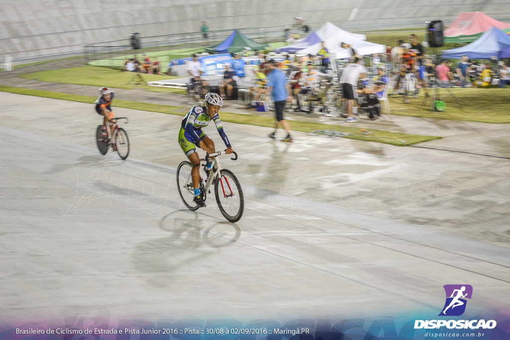 Pista :: Brasileiro de Ciclismo de Estrada e Pista 2016