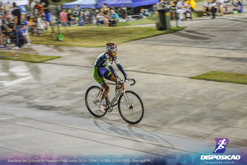 Pista :: Brasileiro de Ciclismo de Estrada e Pista 2016