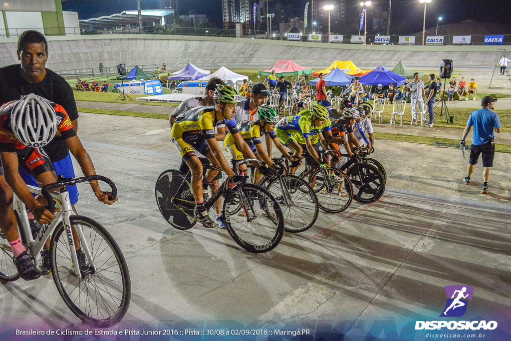 Pista :: Brasileiro de Ciclismo de Estrada e Pista 2016