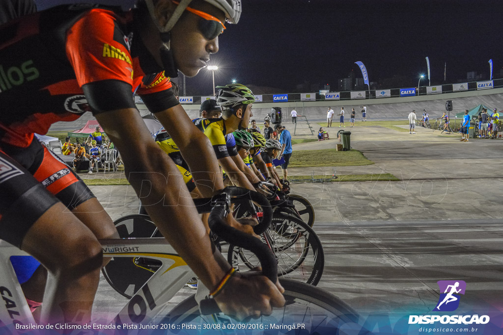 Pista :: Brasileiro de Ciclismo de Estrada e Pista 2016