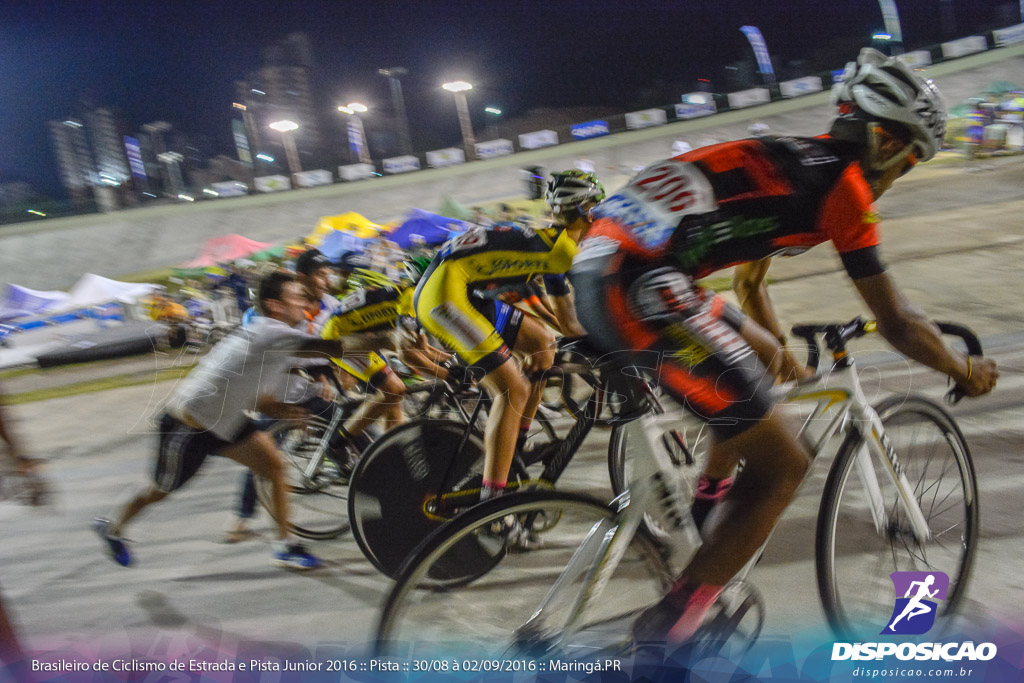 Pista :: Brasileiro de Ciclismo de Estrada e Pista 2016