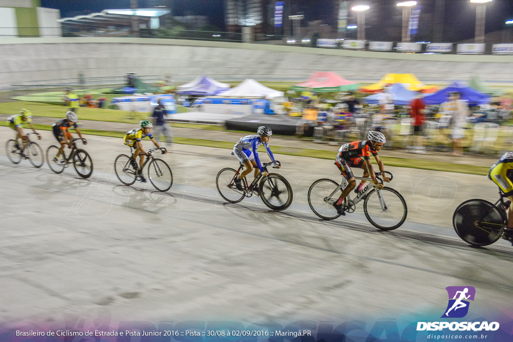 Pista :: Brasileiro de Ciclismo de Estrada e Pista 2016