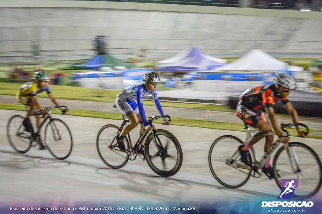 Pista :: Brasileiro de Ciclismo de Estrada e Pista 2016