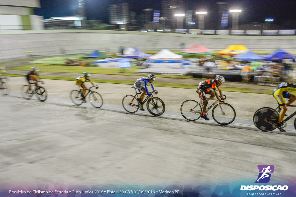 Pista :: Brasileiro de Ciclismo de Estrada e Pista 2016