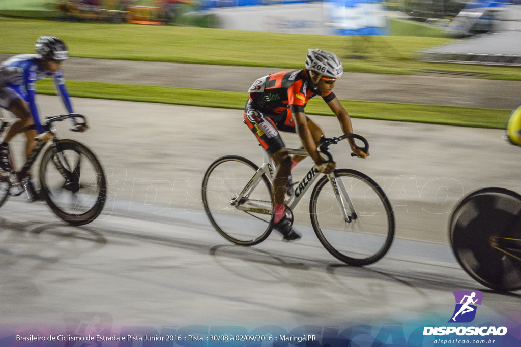 Pista :: Brasileiro de Ciclismo de Estrada e Pista 2016