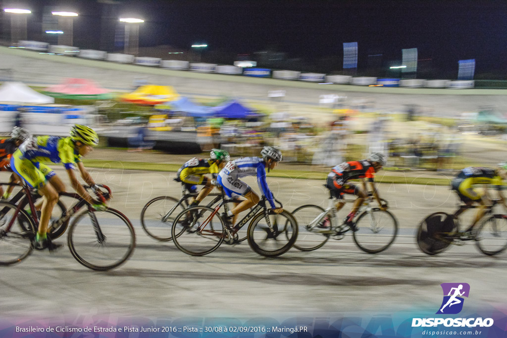 Pista :: Brasileiro de Ciclismo de Estrada e Pista 2016