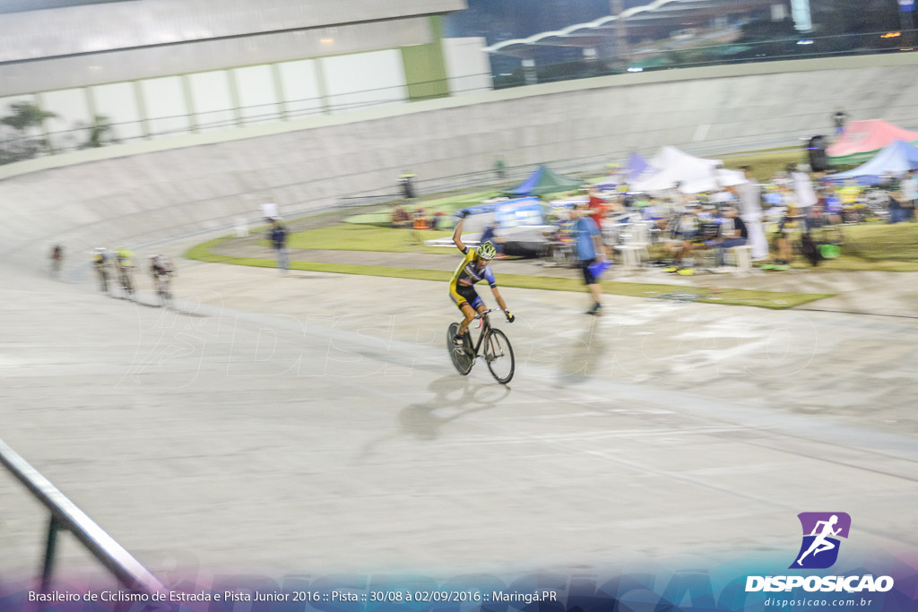 Pista :: Brasileiro de Ciclismo de Estrada e Pista 2016