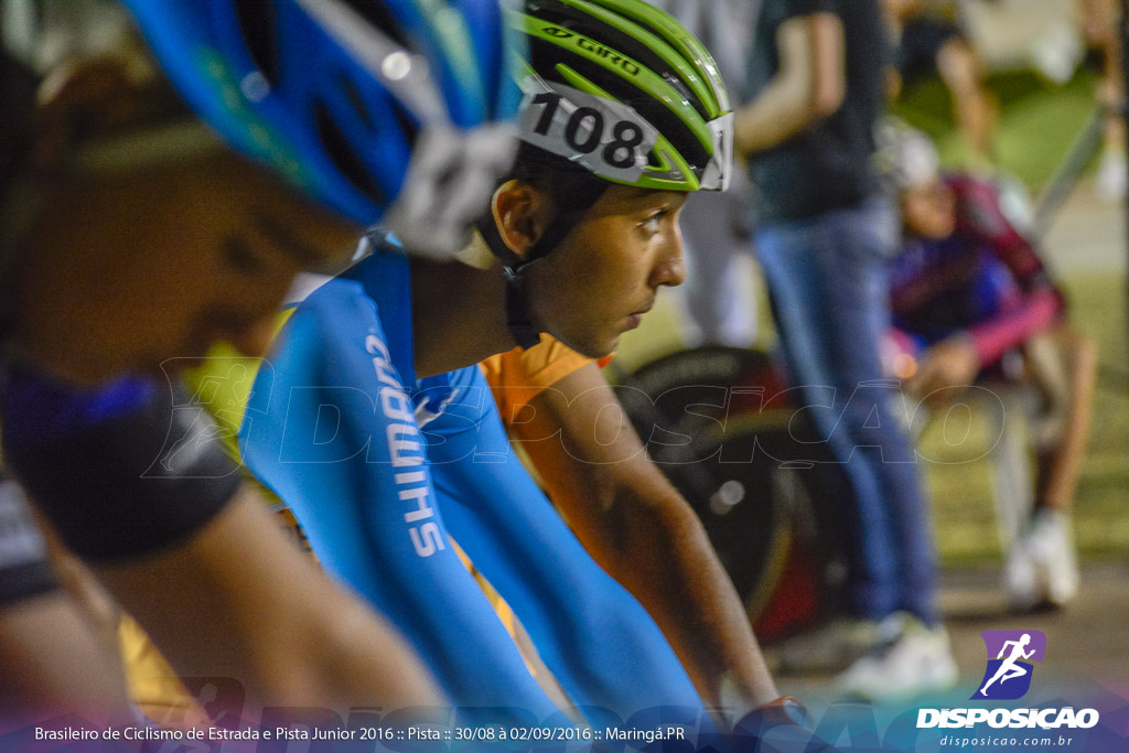 Pista :: Brasileiro de Ciclismo de Estrada e Pista 2016