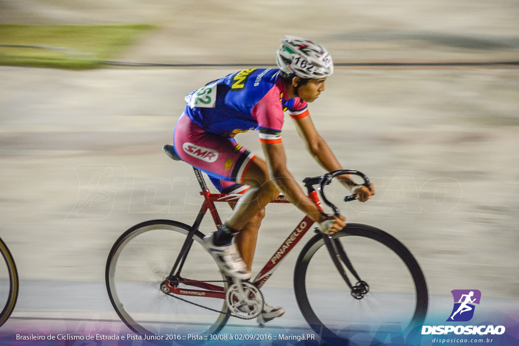 Pista :: Brasileiro de Ciclismo de Estrada e Pista 2016