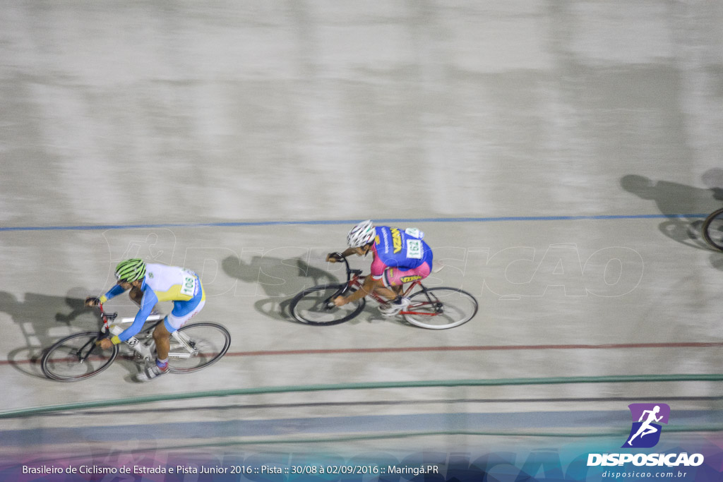 Pista :: Brasileiro de Ciclismo de Estrada e Pista 2016