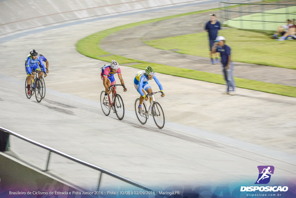 Pista :: Brasileiro de Ciclismo de Estrada e Pista 2016