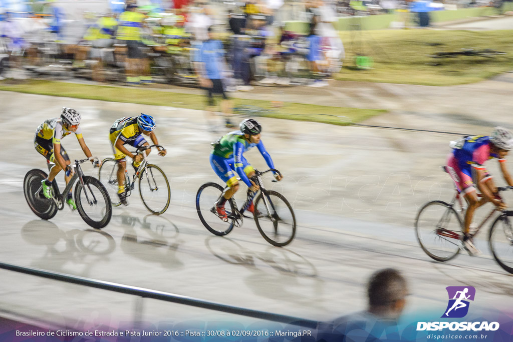 Pista :: Brasileiro de Ciclismo de Estrada e Pista 2016