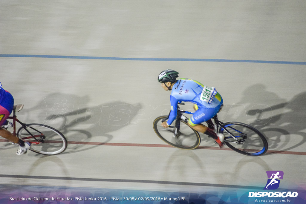 Pista :: Brasileiro de Ciclismo de Estrada e Pista 2016