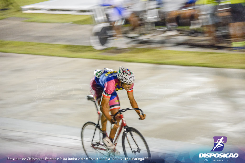 Pista :: Brasileiro de Ciclismo de Estrada e Pista 2016