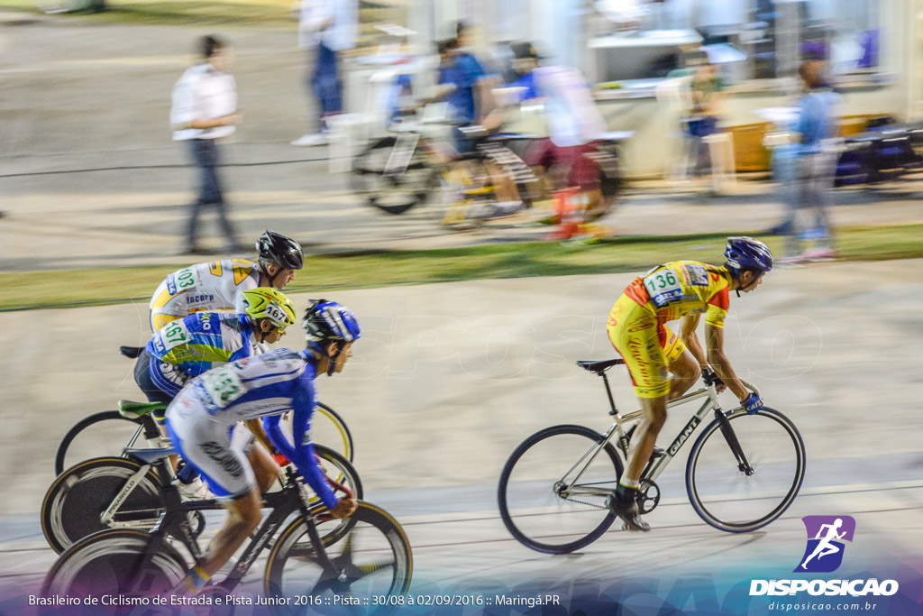 Pista :: Brasileiro de Ciclismo de Estrada e Pista 2016