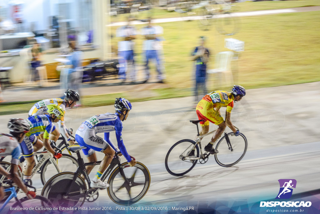 Pista :: Brasileiro de Ciclismo de Estrada e Pista 2016