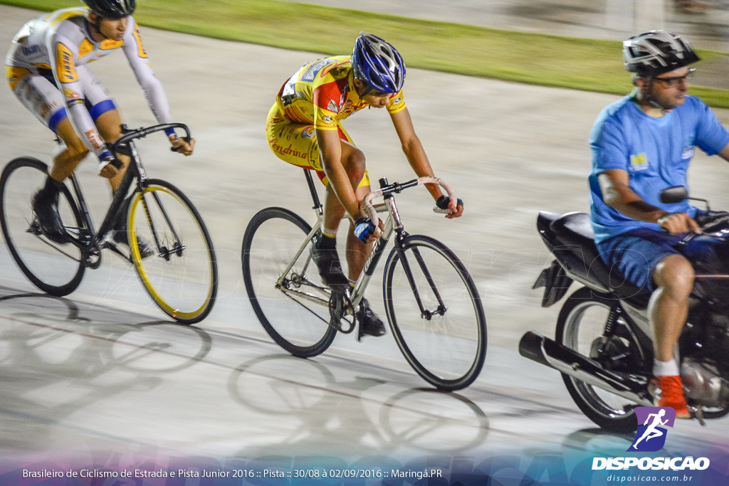 Pista :: Brasileiro de Ciclismo de Estrada e Pista 2016