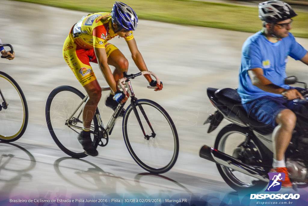 Pista :: Brasileiro de Ciclismo de Estrada e Pista 2016