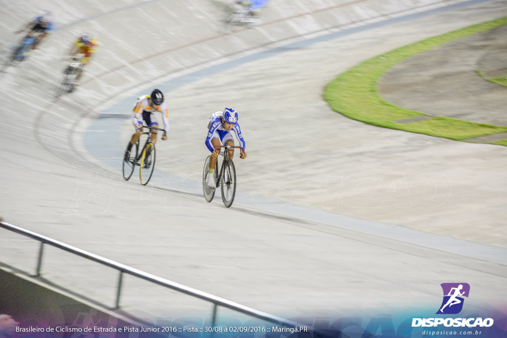 Pista :: Brasileiro de Ciclismo de Estrada e Pista 2016