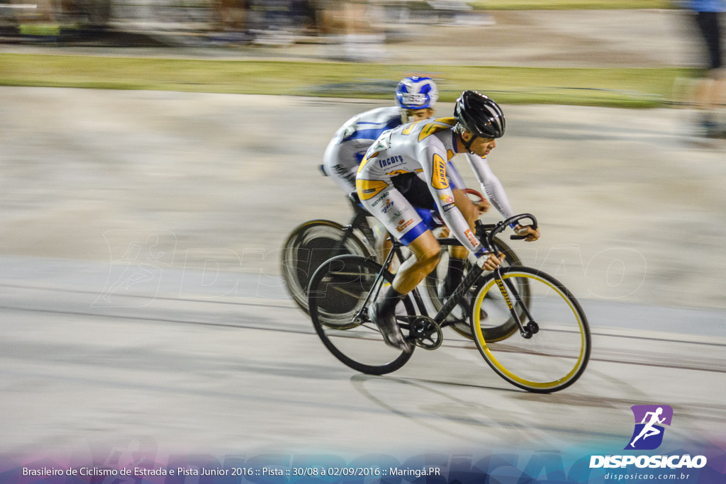 Pista :: Brasileiro de Ciclismo de Estrada e Pista 2016