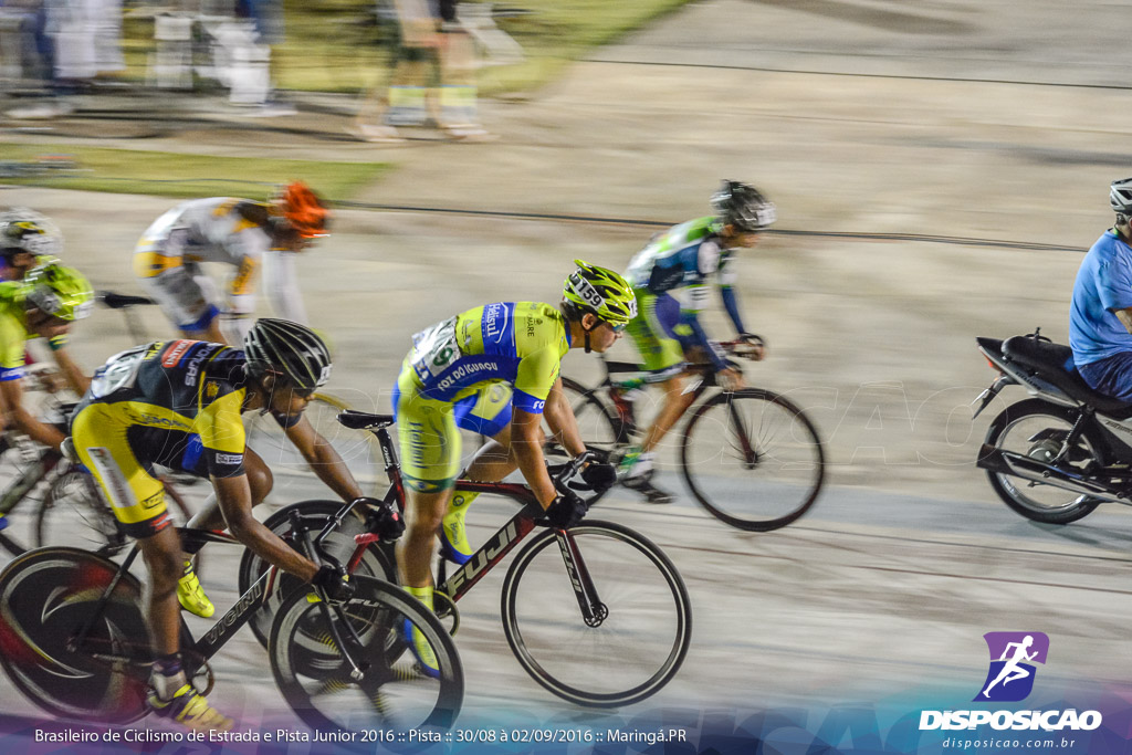 Pista :: Brasileiro de Ciclismo de Estrada e Pista 2016