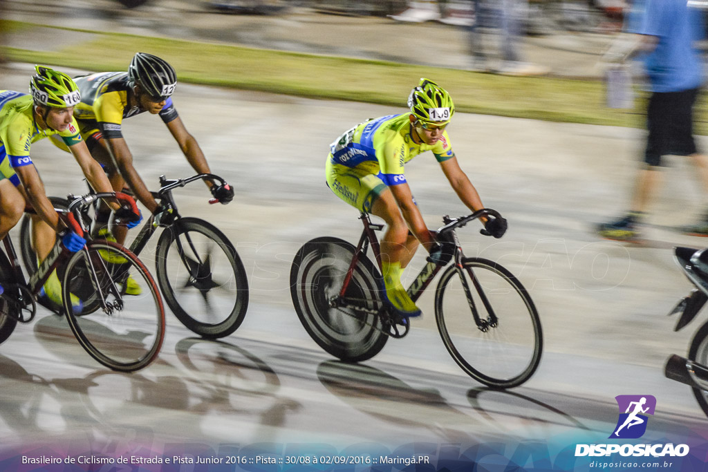 Pista :: Brasileiro de Ciclismo de Estrada e Pista 2016