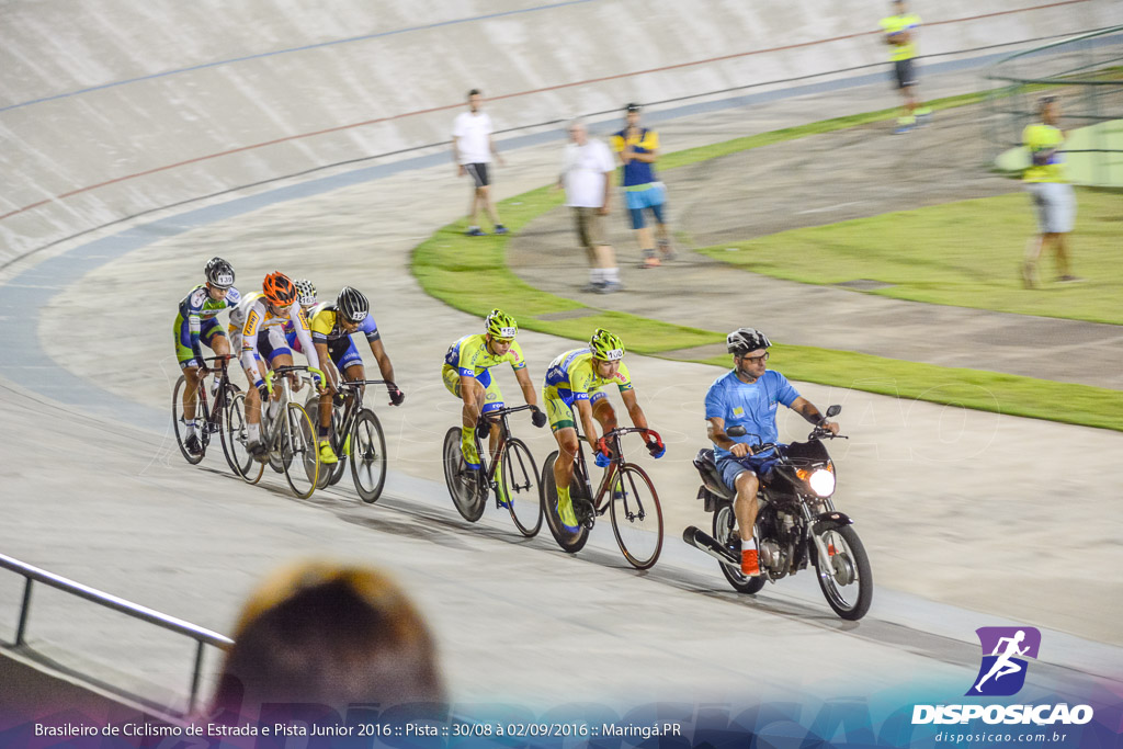 Pista :: Brasileiro de Ciclismo de Estrada e Pista 2016