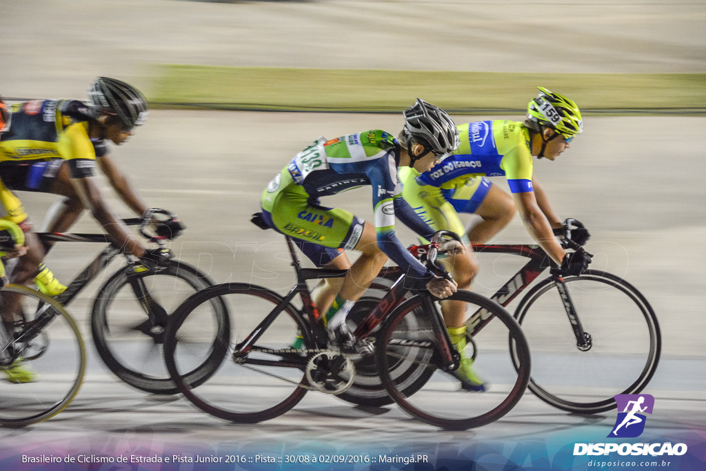 Pista :: Brasileiro de Ciclismo de Estrada e Pista 2016