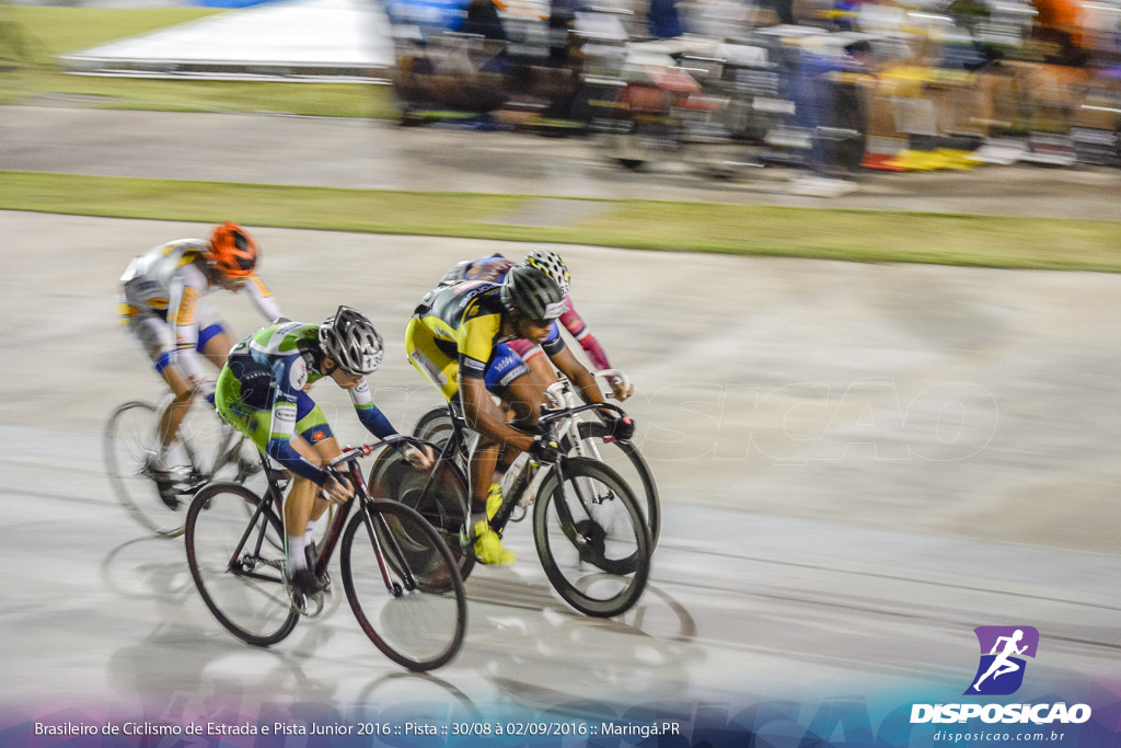 Pista :: Brasileiro de Ciclismo de Estrada e Pista 2016