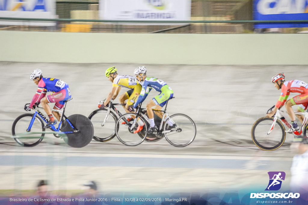 Pista :: Brasileiro de Ciclismo de Estrada e Pista 2016