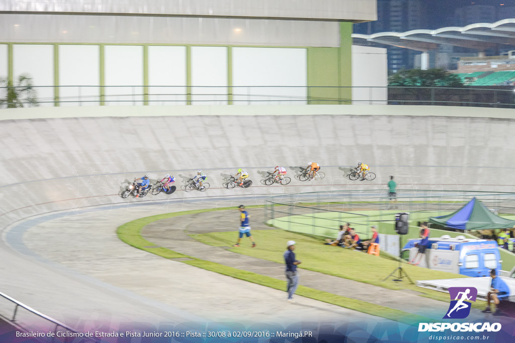 Pista :: Brasileiro de Ciclismo de Estrada e Pista 2016