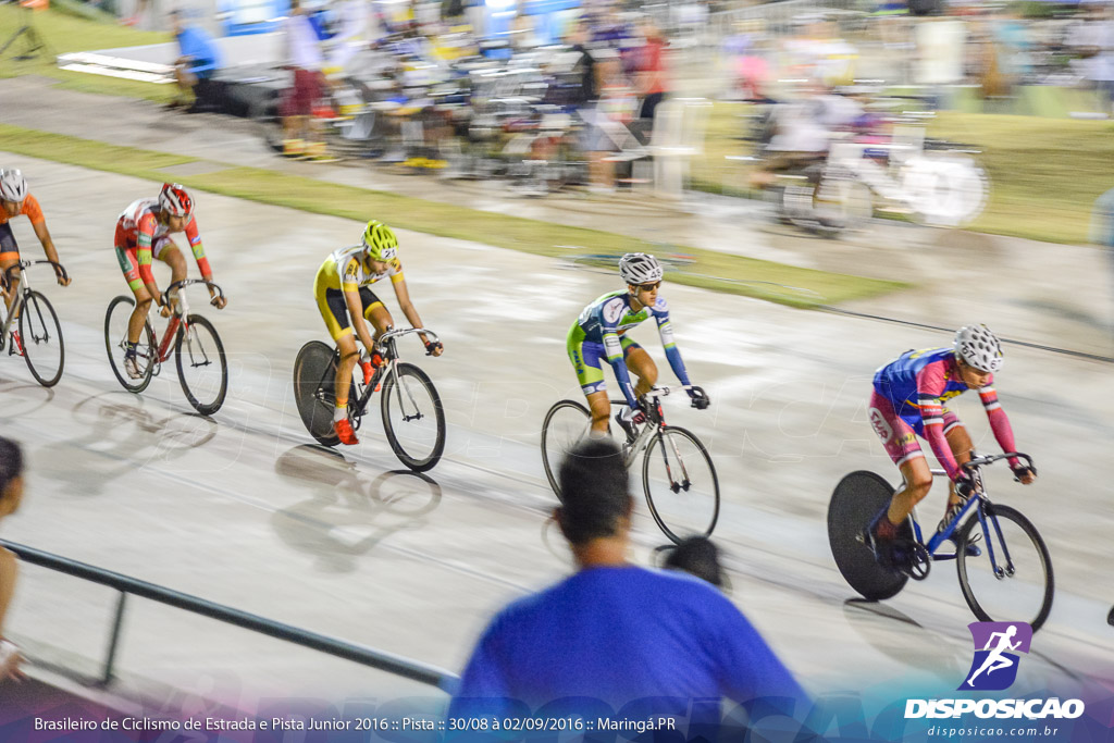 Pista :: Brasileiro de Ciclismo de Estrada e Pista 2016