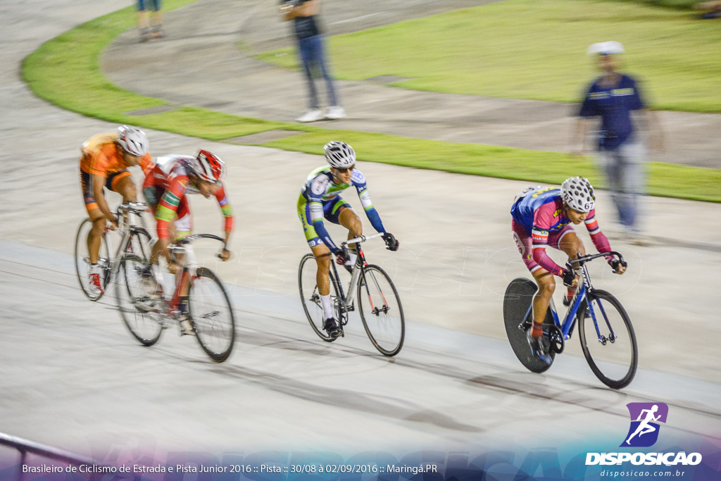 Pista :: Brasileiro de Ciclismo de Estrada e Pista 2016