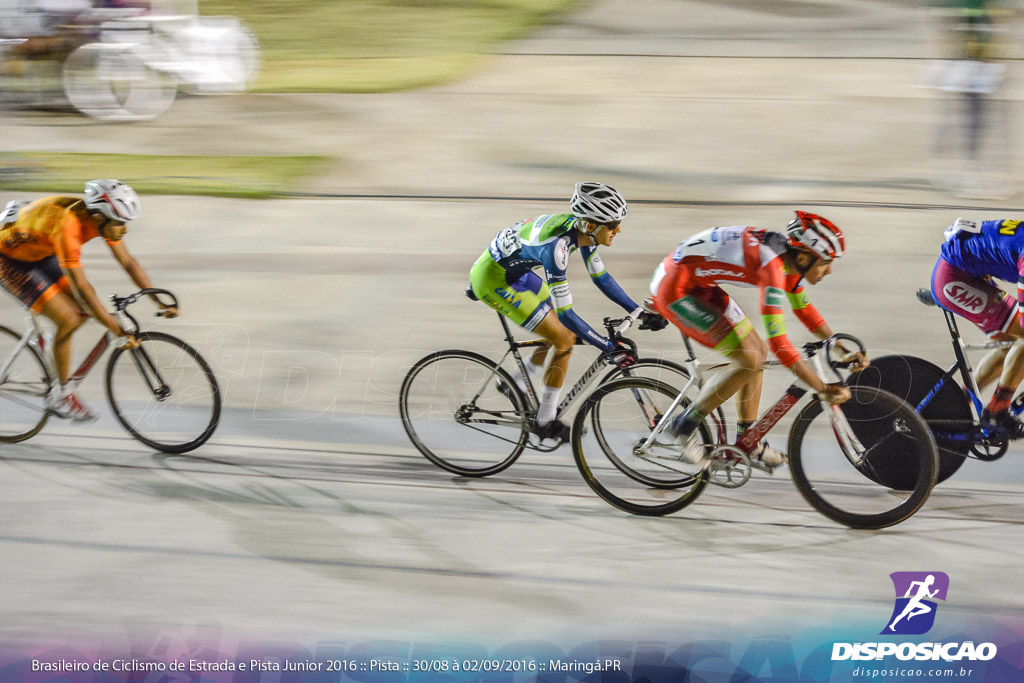 Pista :: Brasileiro de Ciclismo de Estrada e Pista 2016