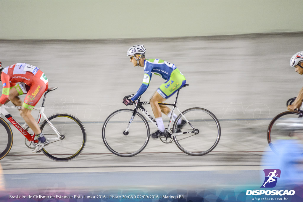 Pista :: Brasileiro de Ciclismo de Estrada e Pista 2016