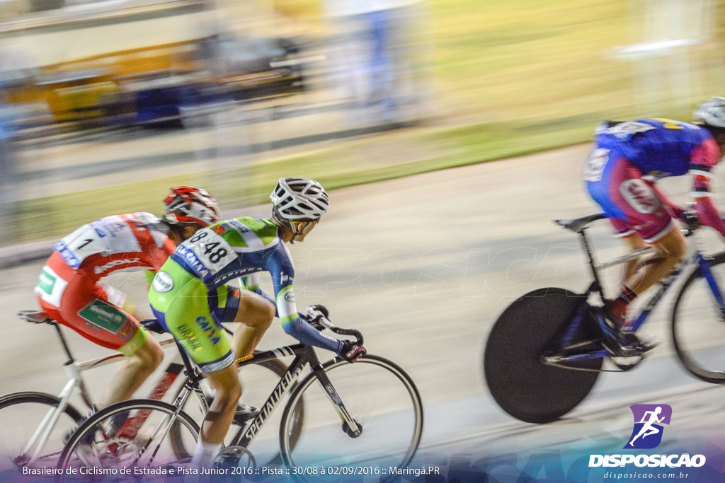 Pista :: Brasileiro de Ciclismo de Estrada e Pista 2016