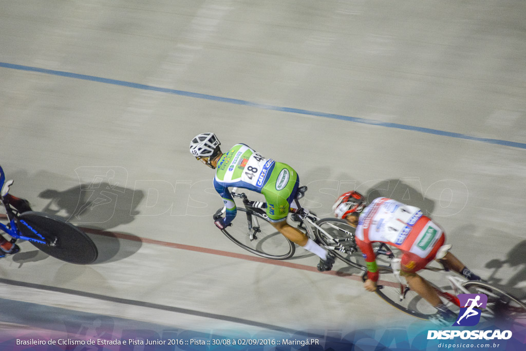 Pista :: Brasileiro de Ciclismo de Estrada e Pista 2016