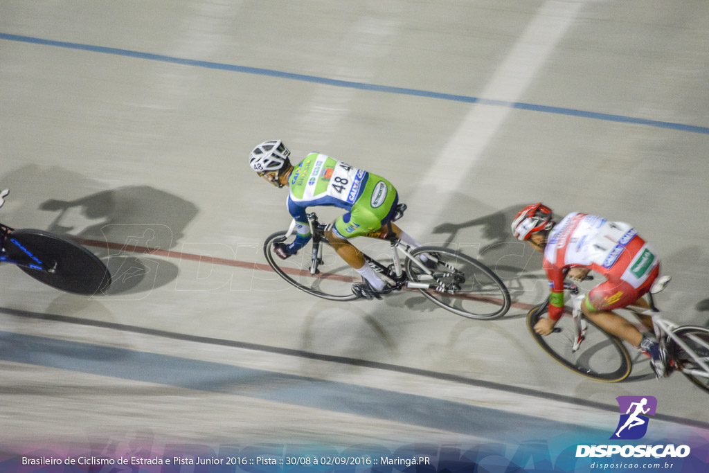 Pista :: Brasileiro de Ciclismo de Estrada e Pista 2016