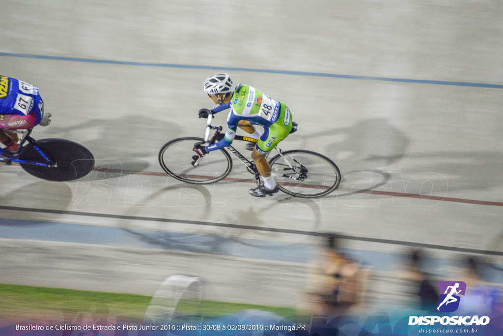 Pista :: Brasileiro de Ciclismo de Estrada e Pista 2016