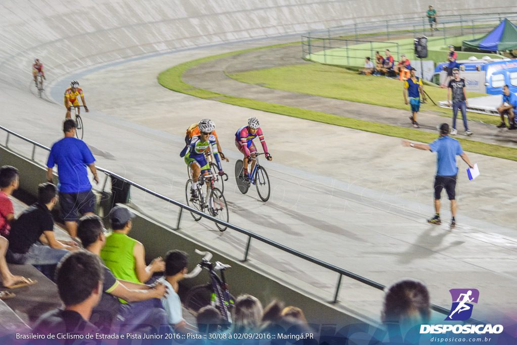 Pista :: Brasileiro de Ciclismo de Estrada e Pista 2016